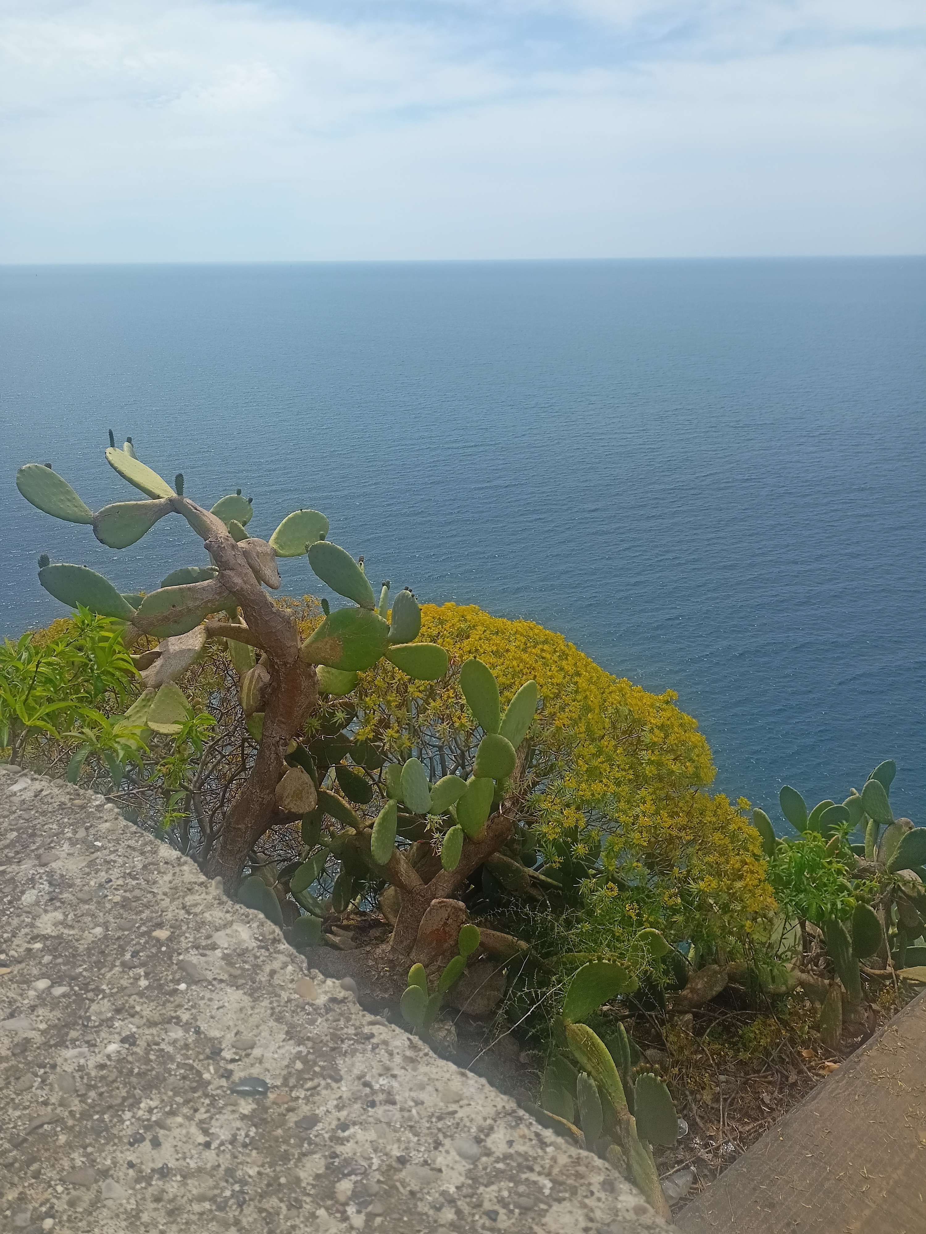 Panorama mare da Corniglia