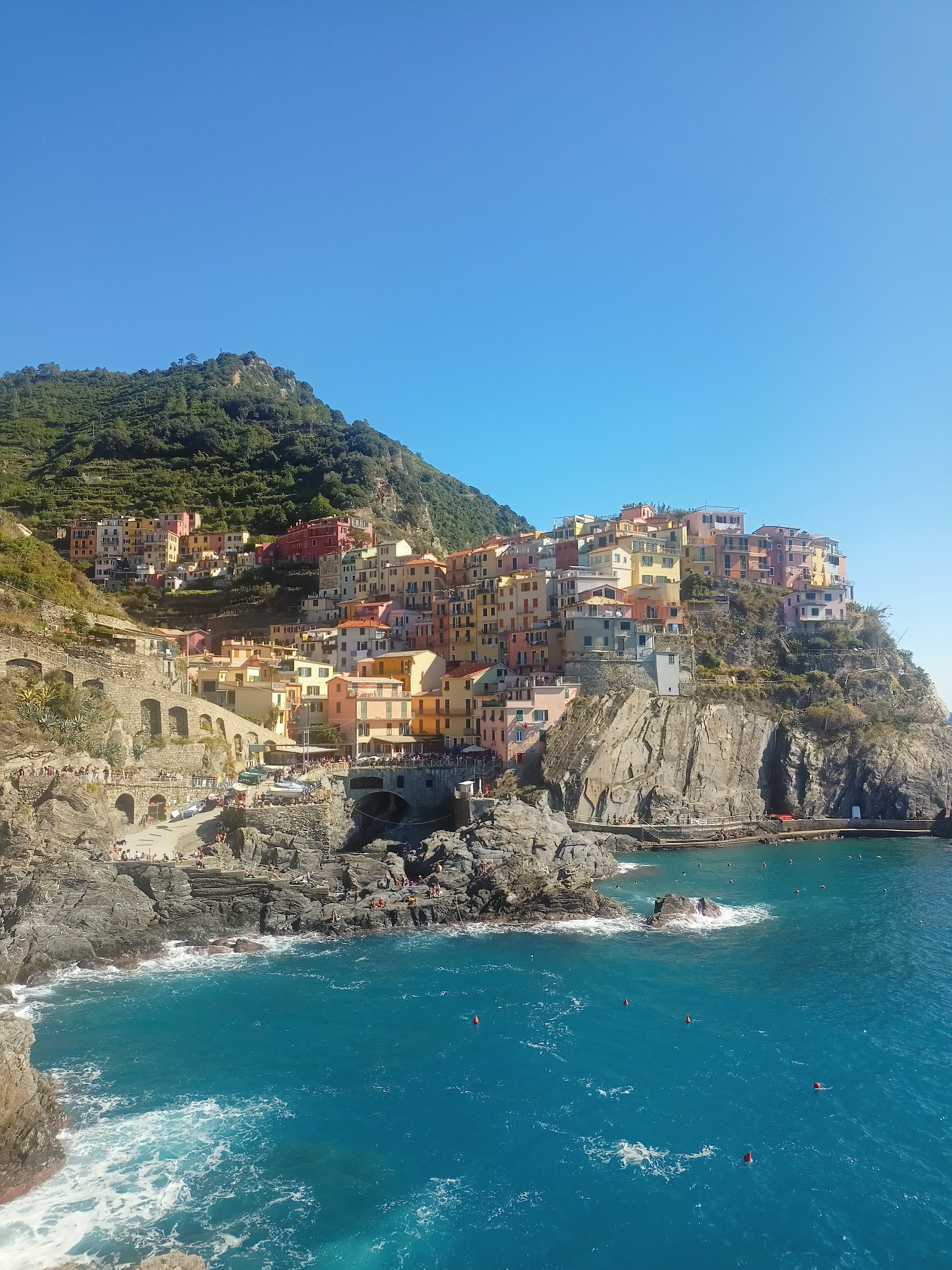 Vigneti e costa a Manarola