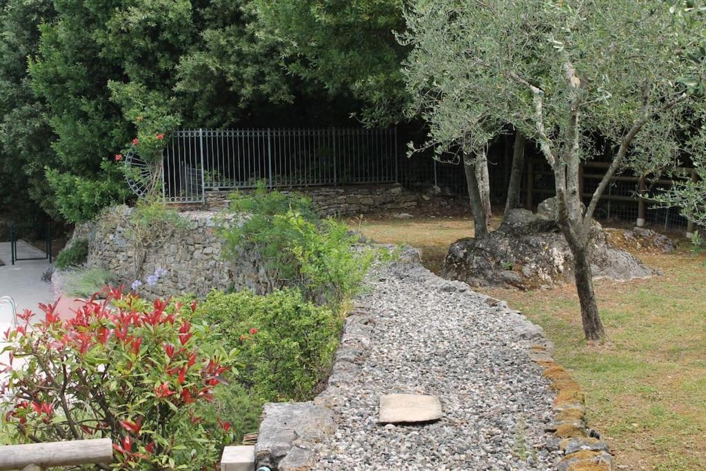 Solarium attrezzato con lettini e ombrelloni
