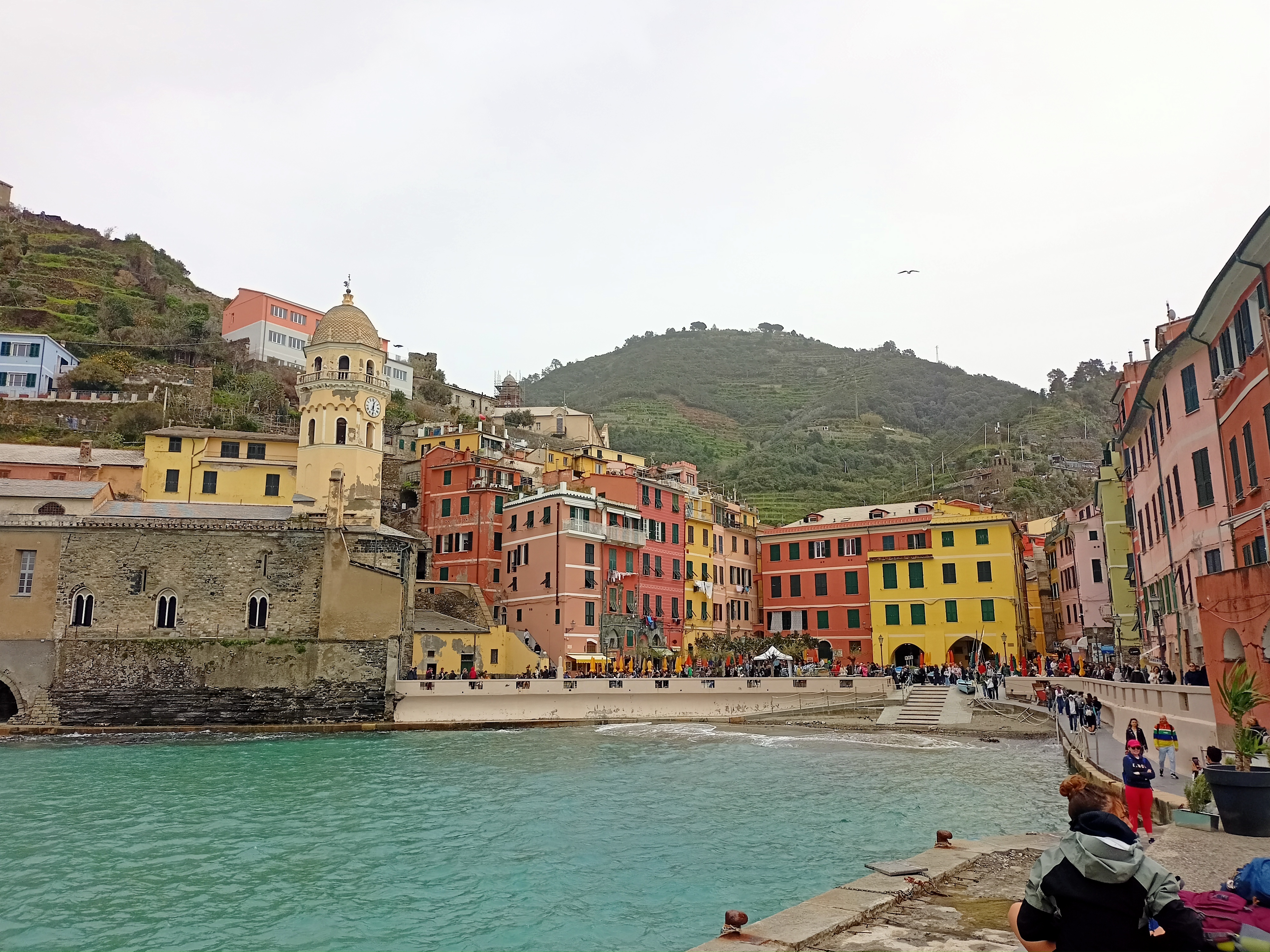 Scorcio di Vernazza e della baia